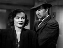 The Asphalt Jungle