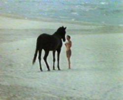 The Black Stallion
