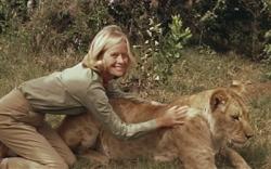 Born Free