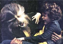 The Boy Who Cried Werewolf