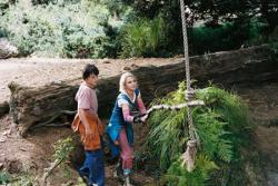 Bridge to Terabithia