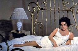 Cat on a Hot Tin Roof