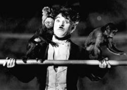 The Circus