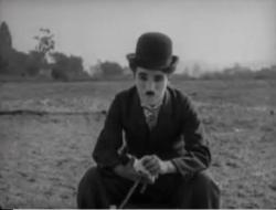 The Circus