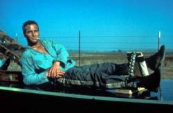 Cool Hand Luke