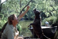 Crocodile Hunter: Collision Course