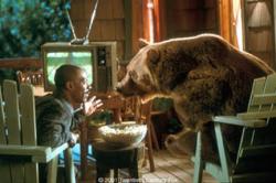 Dr. Dolittle 2