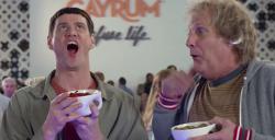 Dumb and Dumber To