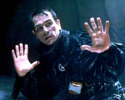The Fugitive