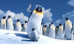 Happy Feet
