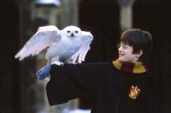 Harry Potter and the Sorcerer's Stone
