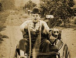 The Hayseed