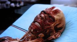 Hollow Man