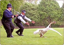 Hot Fuzz