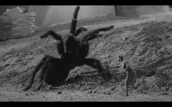 The Incredible Shrinking Man