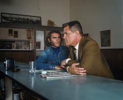 Inherent Vice