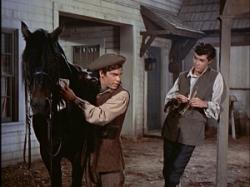 Johnny Tremain