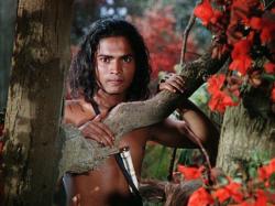 Jungle Book
