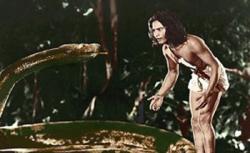Jungle Book