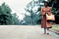 The Long Walk Home