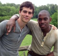 The Maze Runner