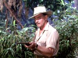 Mogambo