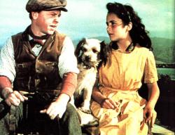National Velvet