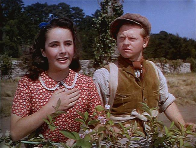 National Velvet