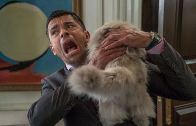 Nine Lives