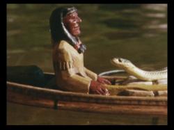 Paddle to the Sea