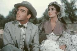 Raintree County