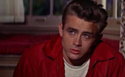 Rebel Without a Cause