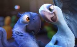 Rio the Movie