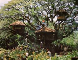 Swiss Family Robinson