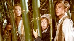 Swiss Family Robinson
