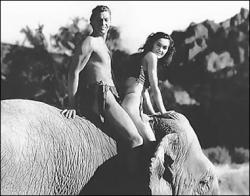 Tarzan and His Mate