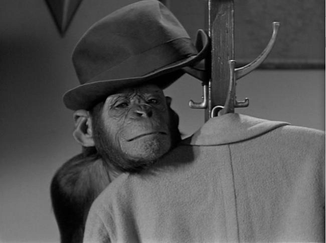 Tarzan's New York Adventure