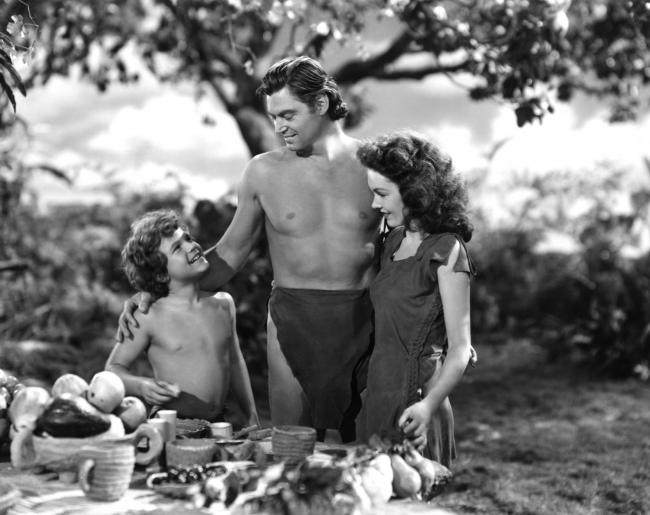 Tarzan's Secret Treasure