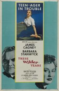 These Wilder Years poster