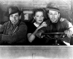 They Drive by Night