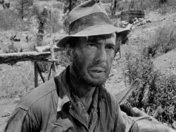 The Treasure of the Sierra Madre
