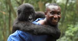 Virunga