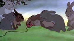Watership Down