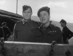Whisky Galore!